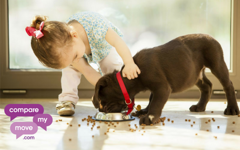 Keep calm and move house with your children and pets