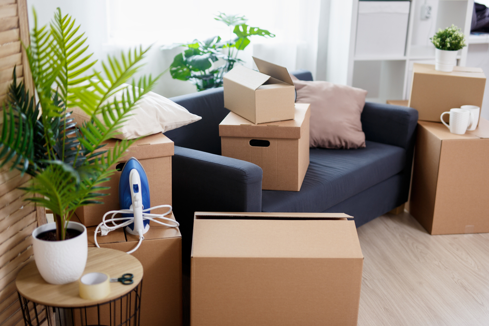 How much do removals cost?